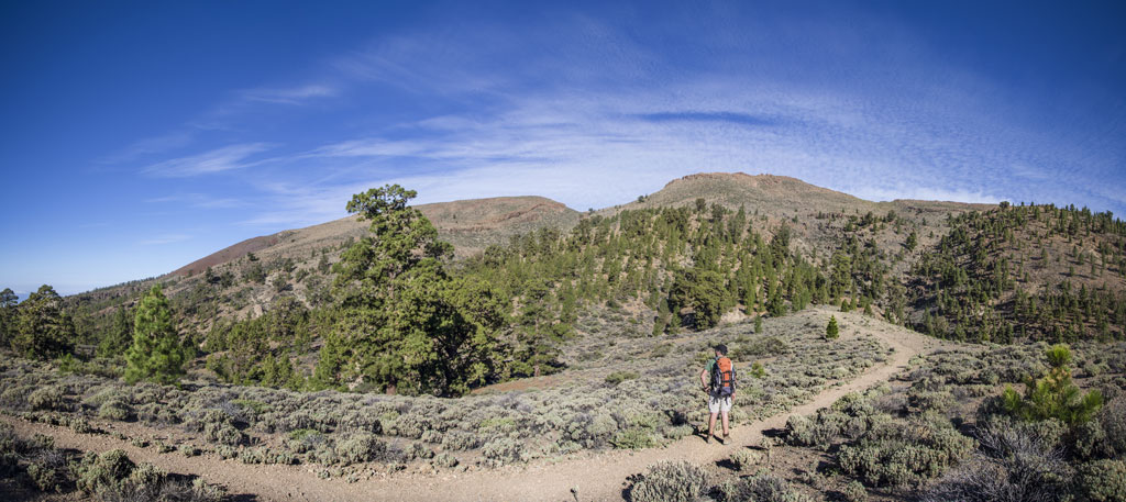 PR-TF 86 Villa de Arico - Cumbre de Arico