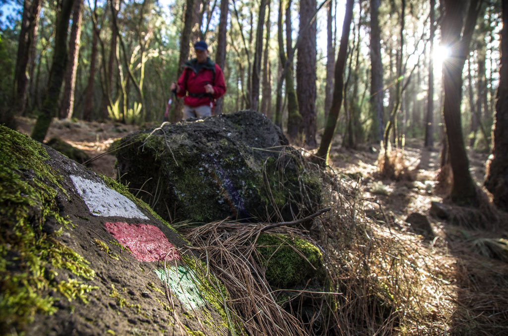 Sentiero forestale a Tenerife con camminatori e cartelli segnati nella pietra.