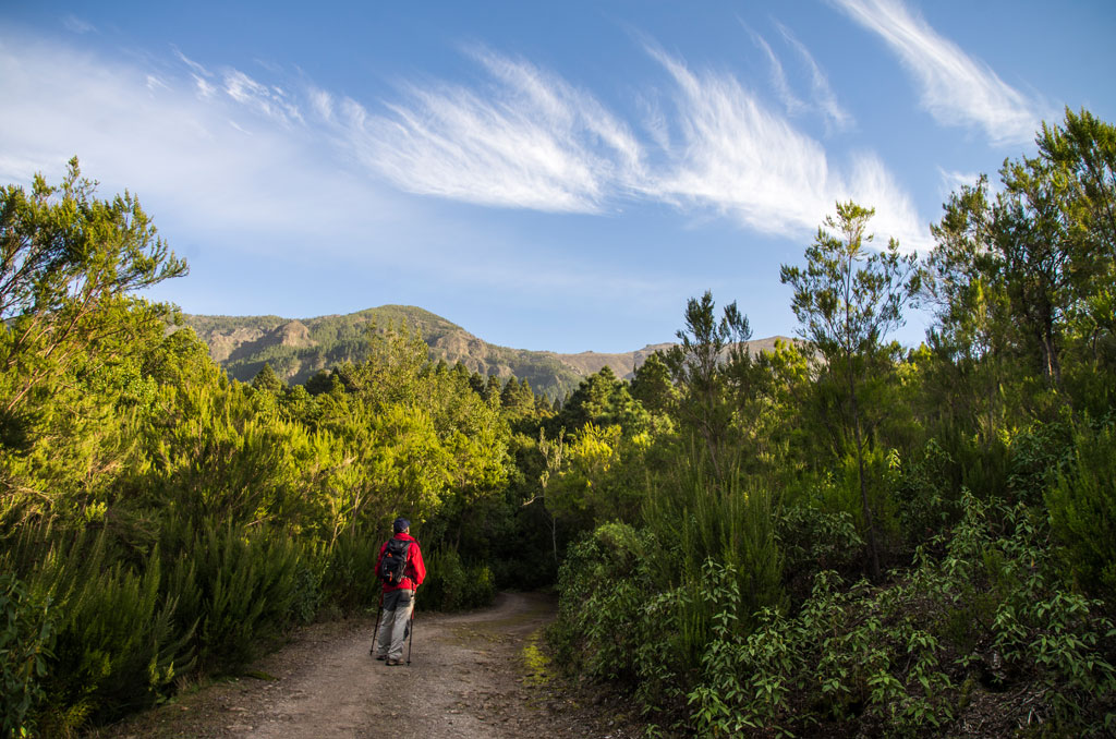 Persona che cammina su un sentiero verde con montagne sullo sfondo a Tenerife.