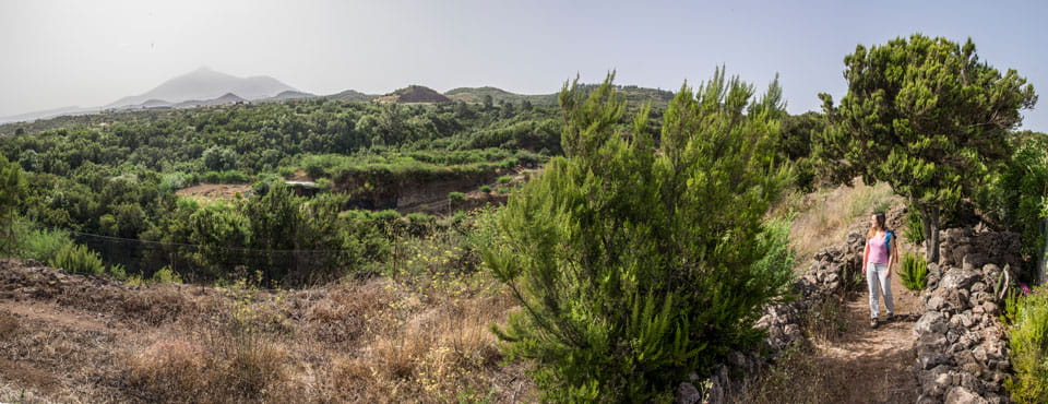 SL-TF 151 Ruigómez - Erjos - Ruigómez