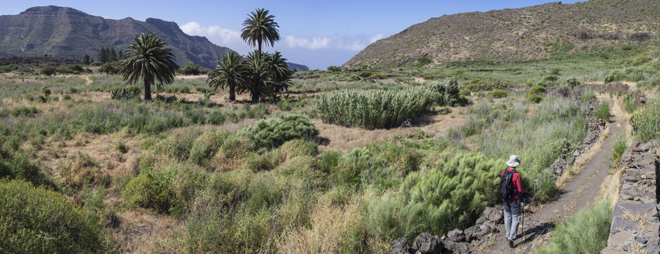 PR-TF 65 Santiago del Teide - Puerto de Santiago