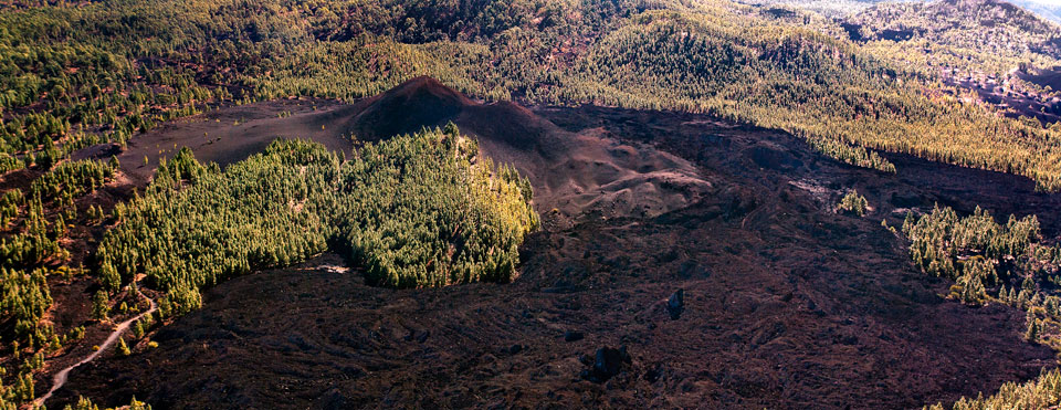 Una procesión milagrosa