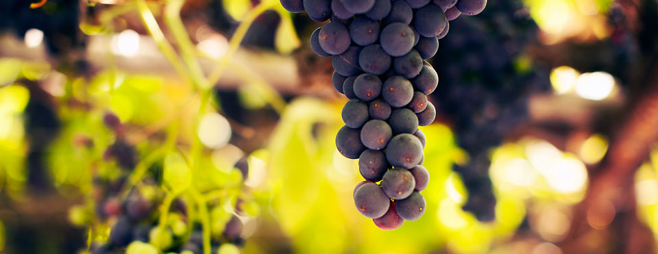 Una ricura de cocina