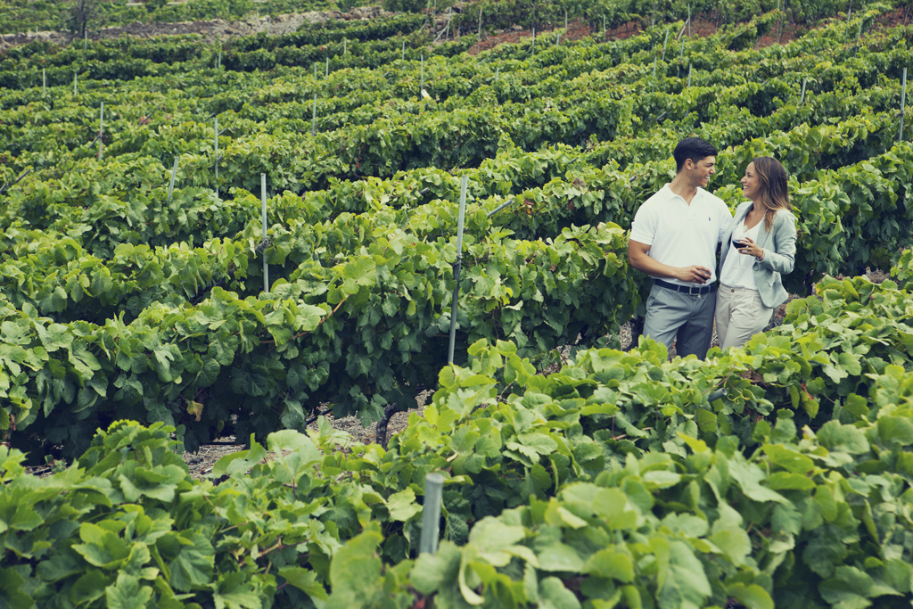 Coppia che si gode vino in un vigneto a Tenerife.