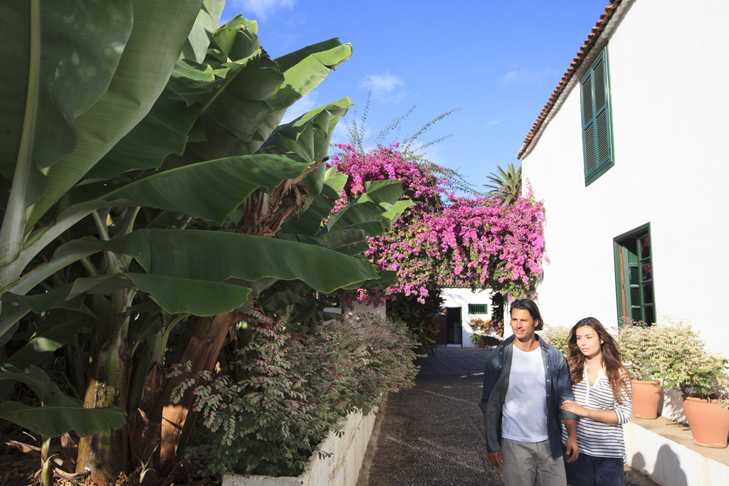 Coppia che cammina accanto a banani e bouganville a Tenerife.