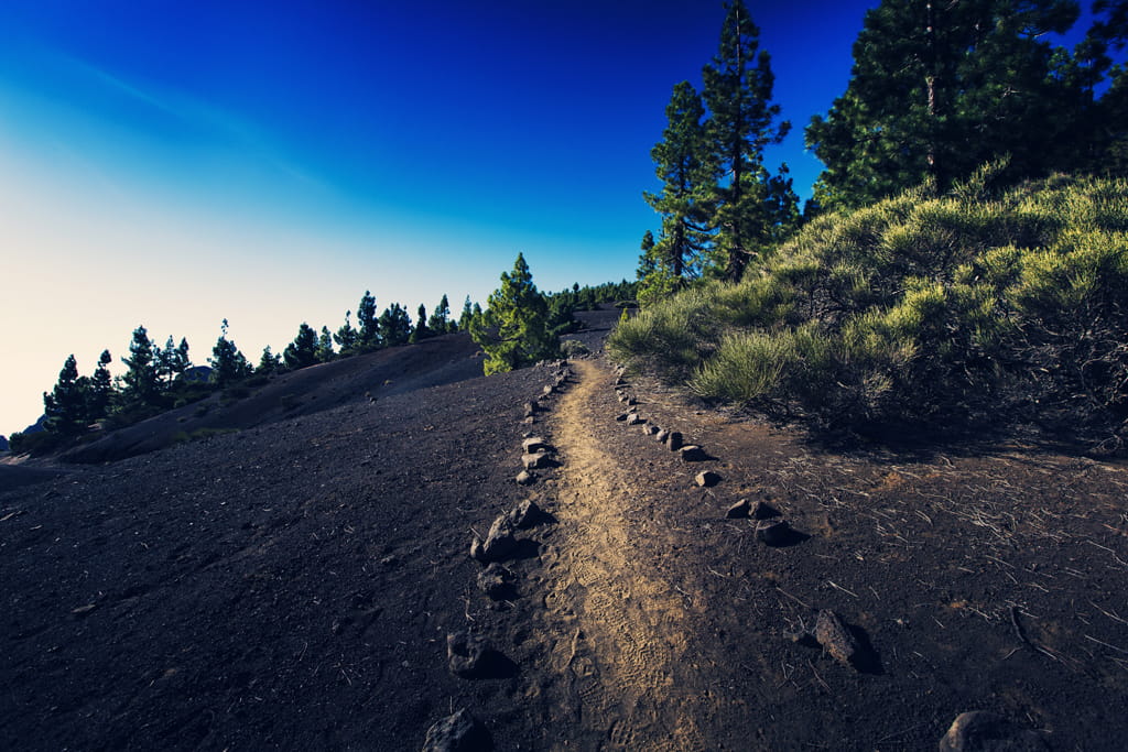 sentiero sabbioso tra i pini a Tenerife sotto cieli azzurri