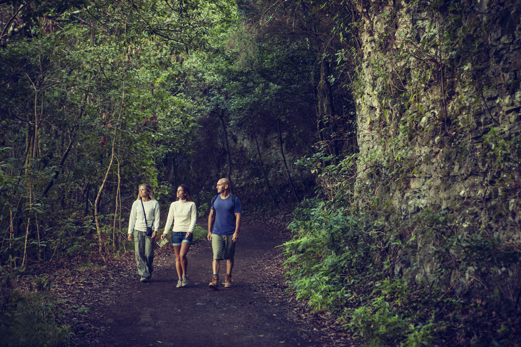 Persone che camminano lungo un sentiero circondato dal verde a Tenerife.