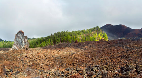 Tierra de Contrastes
