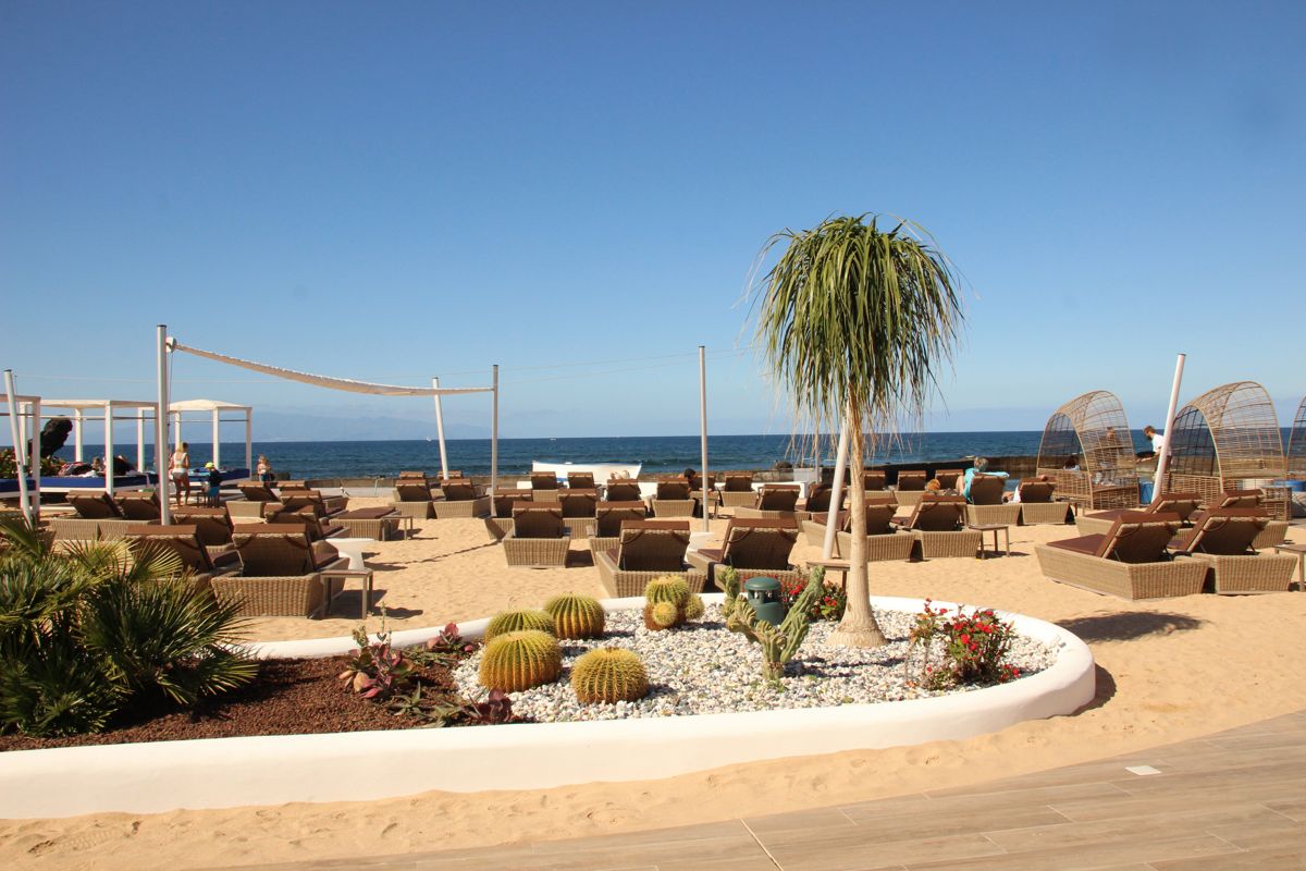 Spiaggia con amate, palme e cactus a Tenerife. Mare sullo sfondo.
