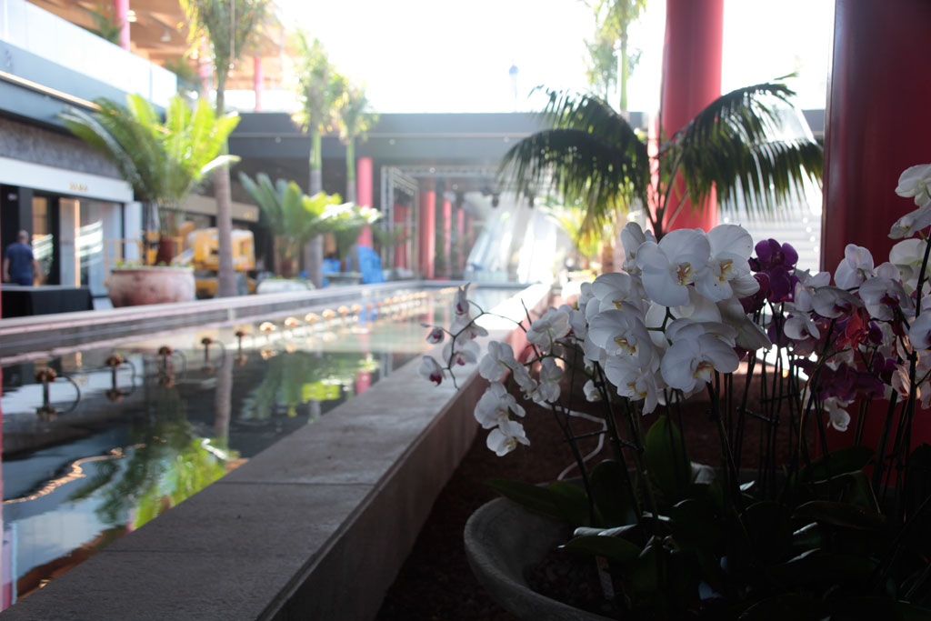 Orchidee bianche e viola in un centro commerciale a Tenerife.