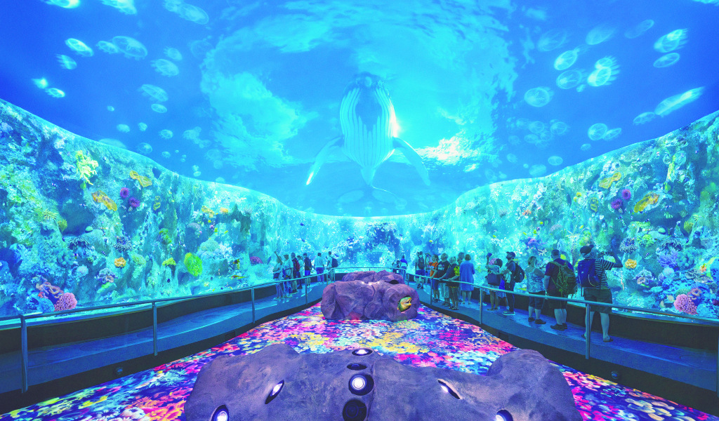 Le persone assistono a una mostra virtuale di balene subacquee in un acquario a Tenerife.