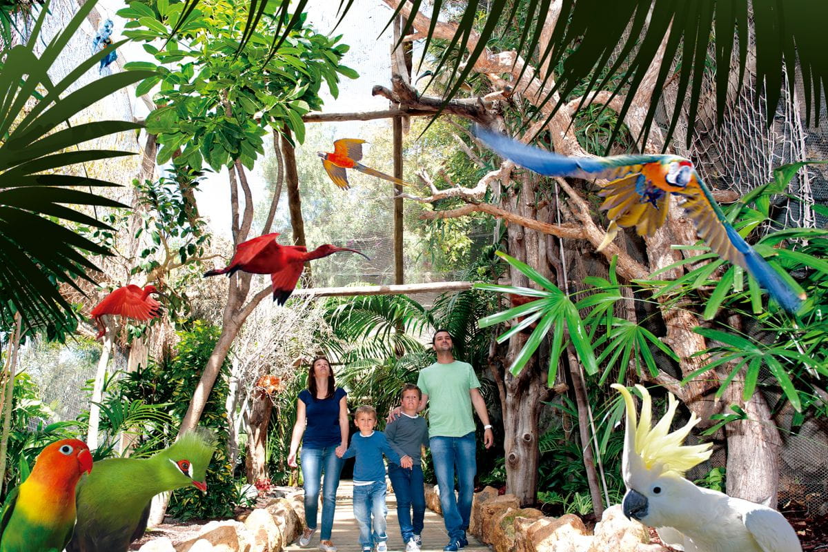 Famiglia che cammina in voliera circondata da pappagalli e verde a Tenerife.