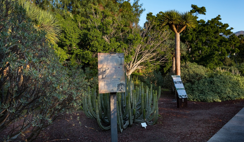 Cartello informativo tra cactus e piante nel Giardino Botanico di Tenerife.