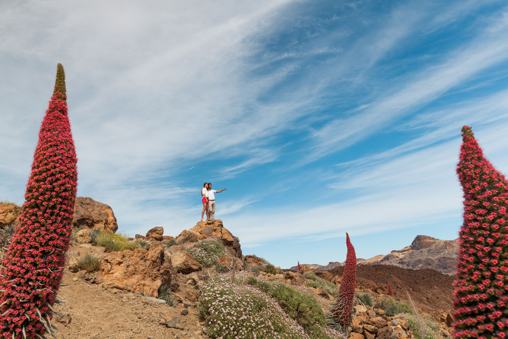 Pico del Teide a Tenerife con fiori rossi di tajinaste e due persone che osservano il paesaggio.