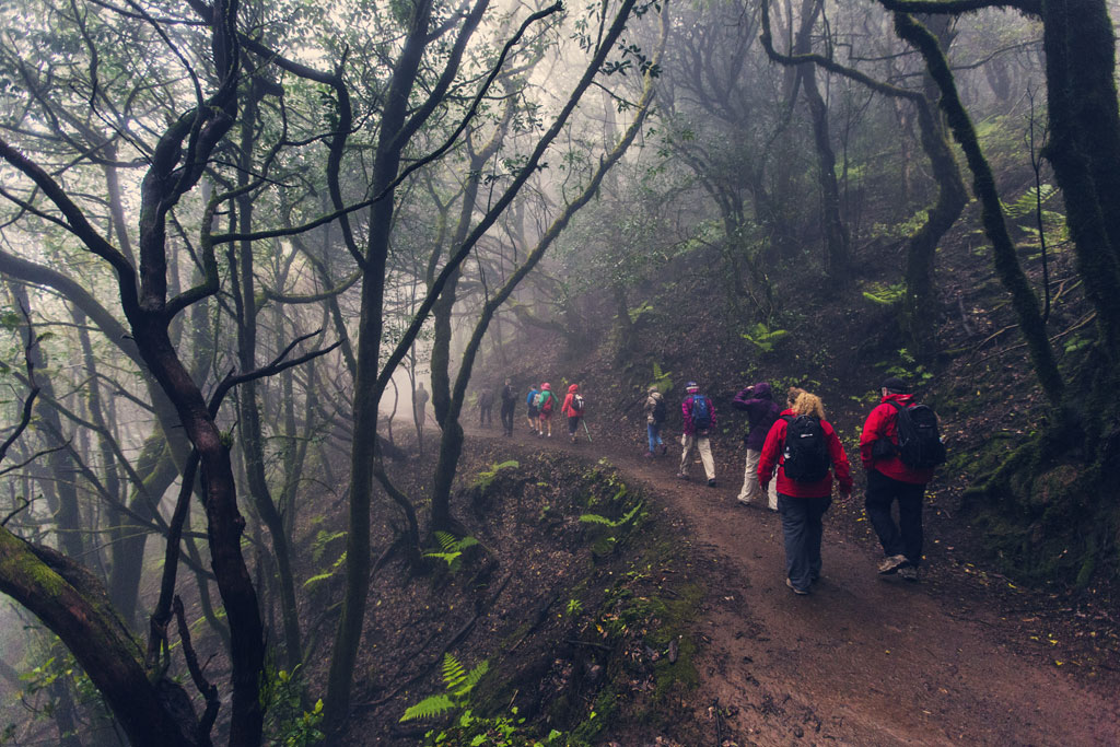 Persone che camminano lungo un sentiero boscoso ad Anaga, Tenerife.