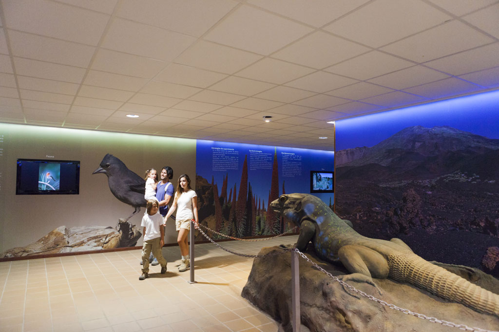 Famiglia nella fauna espositiva nel Parco Nazionale del Teide, Tenerife.
