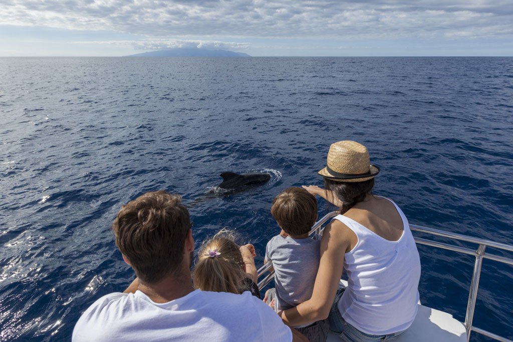 Famiglia che osserva i delfini nel mare vicino a Tenerife da una barca.