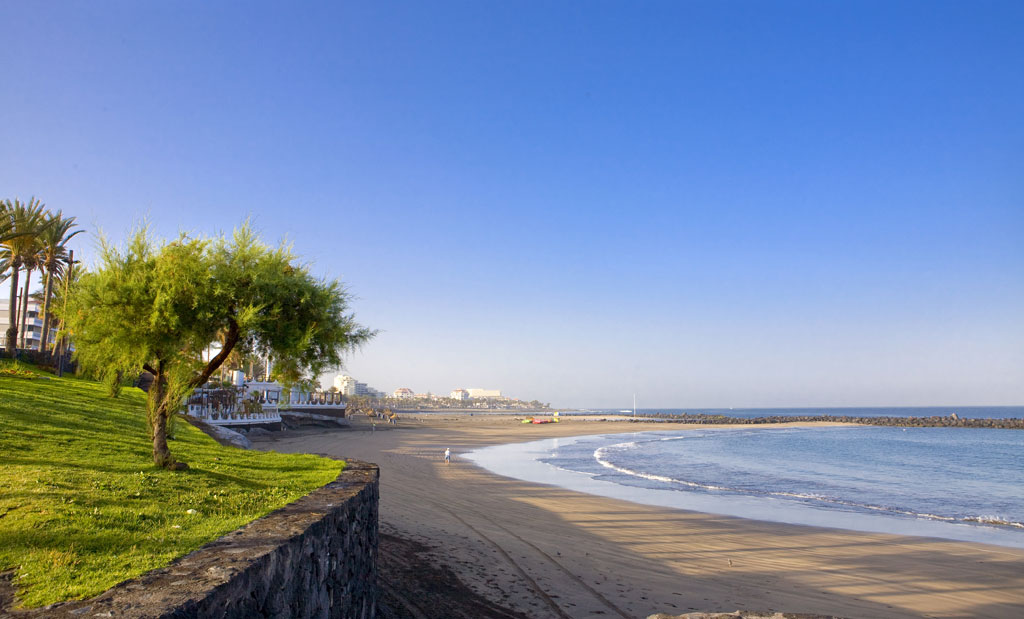 Spiaggia con palme e passeggiata a Tenerife sotto un cielo azzurro.