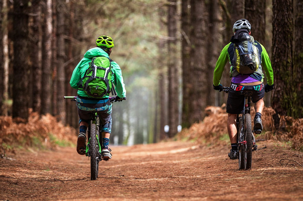 Due ciclisti percorrono un sentiero forestale a La Esperanza, Tenerife.