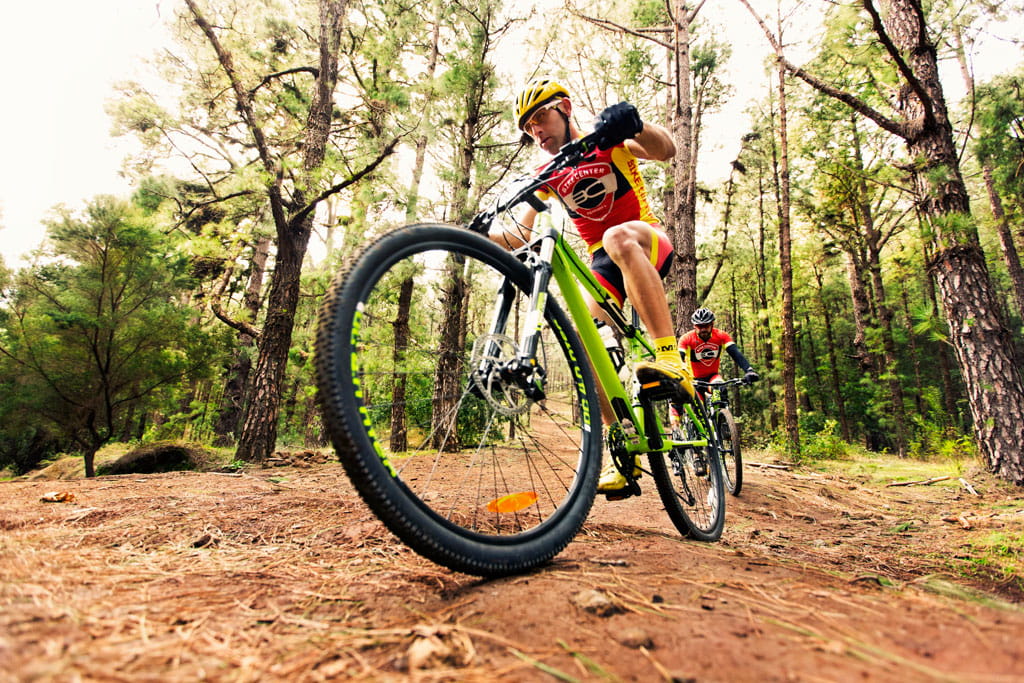 Ciclisti nella foresta di La Esperanza, Tenerife, che fanno mountain bike.