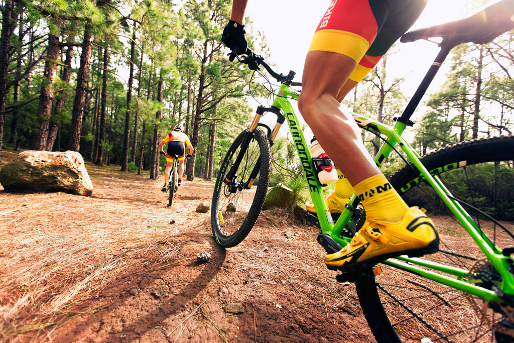 Ciclisti su un percorso di montagna circondato da pini a Tenerife.