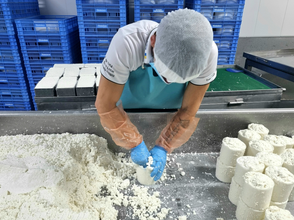 Persona che modella formaggio fresco in fabbrica a Tenerife.