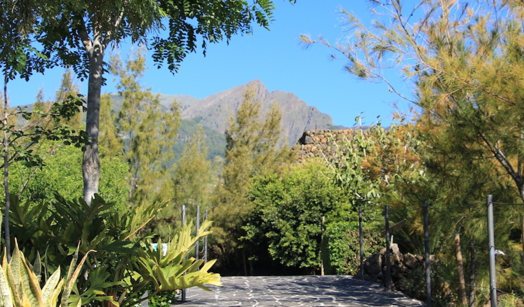 Sentiero lastricato circondato da alberi con montagna sullo sfondo a Tenerife.