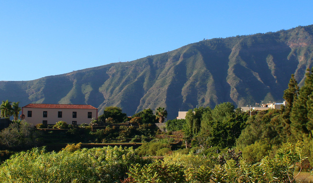 Paesaggio montuoso e vegetazione a La Orotava, Tenerife.