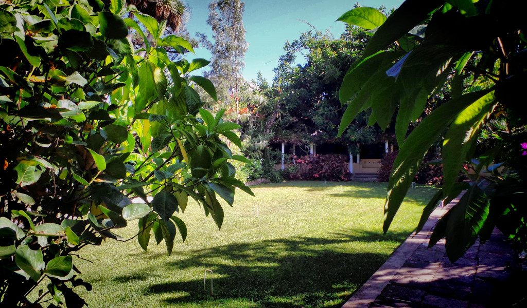 Giardino con prato e alberi in un parco a Tenerife.