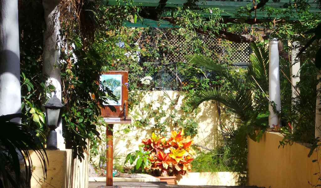 Patio con piante e pittura nel Giardino Botanico di Tenerife.