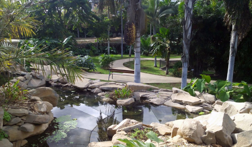 Giardini tropicali con stagno e sentieri a Puerto de la Cruz, Tenerife.