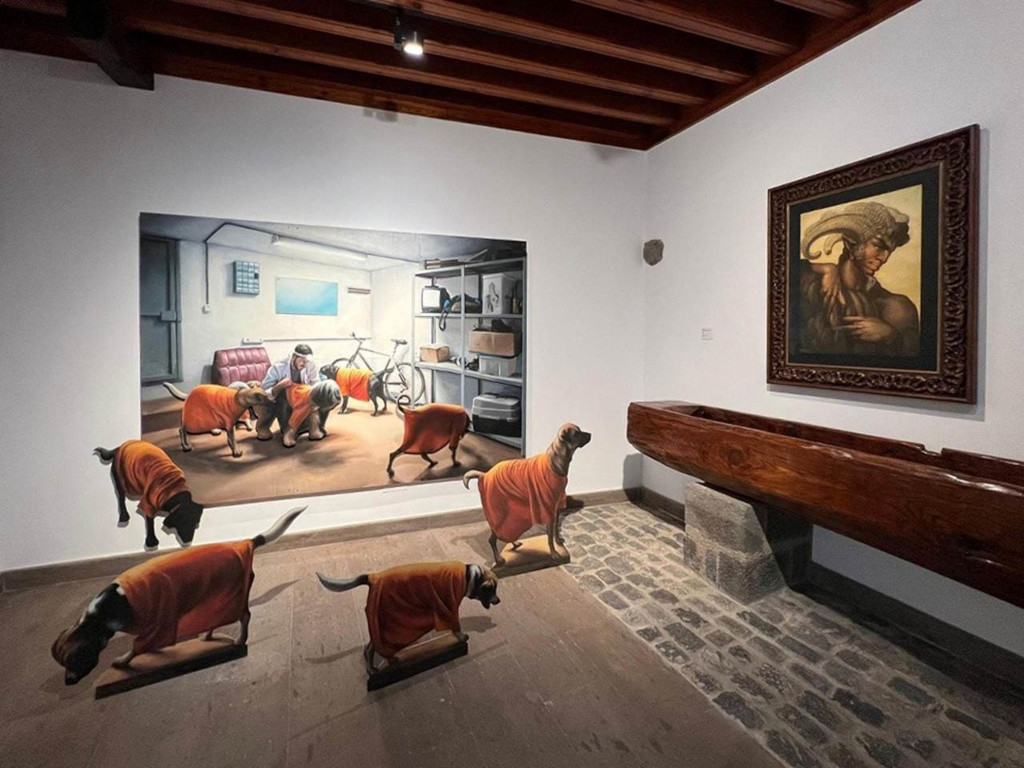 Cani in abiti arancioni e dipinti in una galleria a La Orotava.