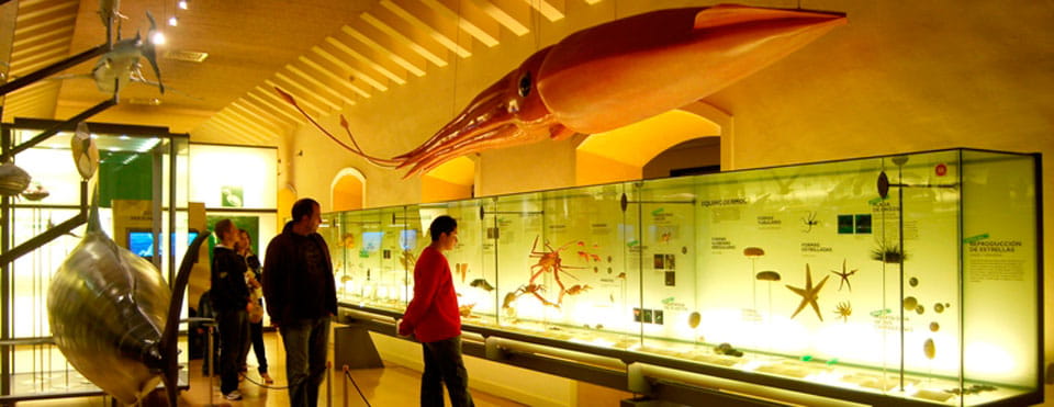 MUNA, Museo de Naturaleza y Arqueología