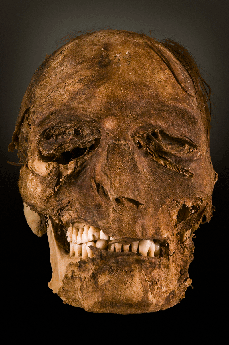 Teschio esposto in un museo a Tenerife.