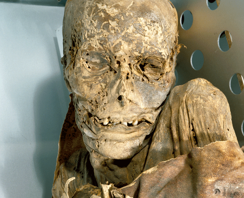 Mummia guancha in un museo a Tenerife con dettagli visibili sul volto e sul corpo conservati.