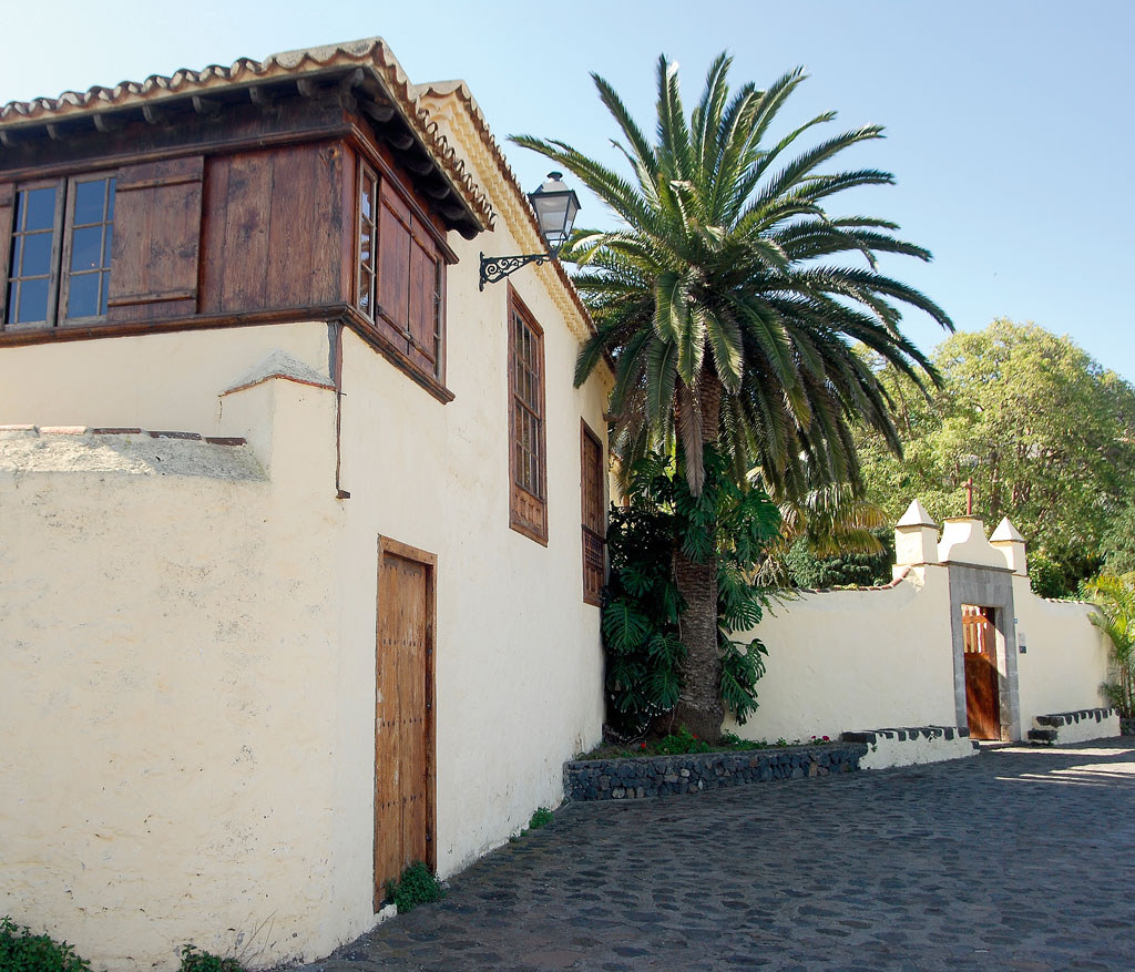 Casa tradizionale canaria con palma a Tenerife.