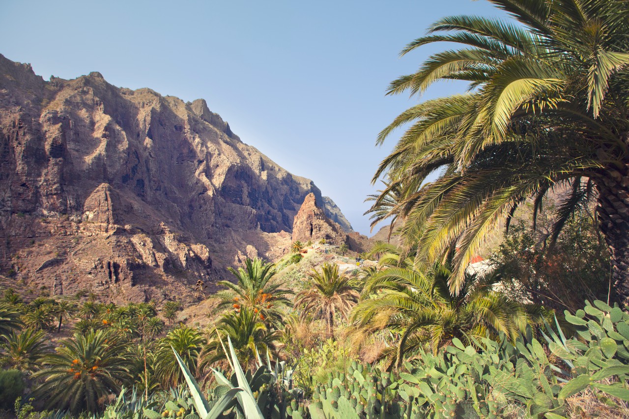 Montagne e palme nel paesaggio di Masca, Tenerife.