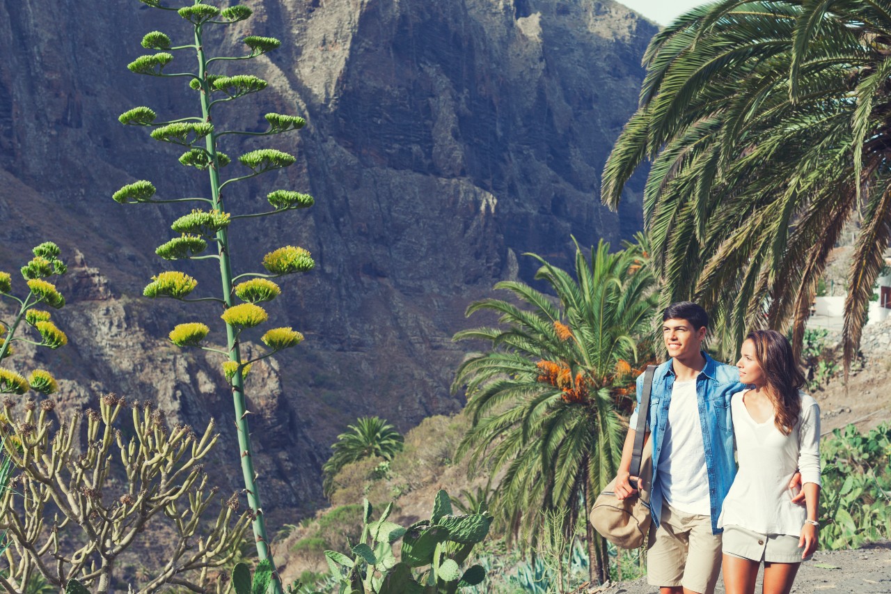 Coppia che cammina su un sentiero circondato da palme e cactus a Tenerife.