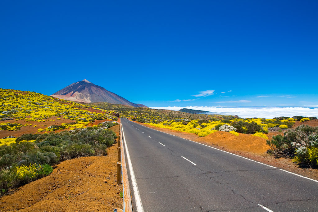 Strada per il Monte Teide a Tenerife, circondata da vegetazione e cieli sereni.