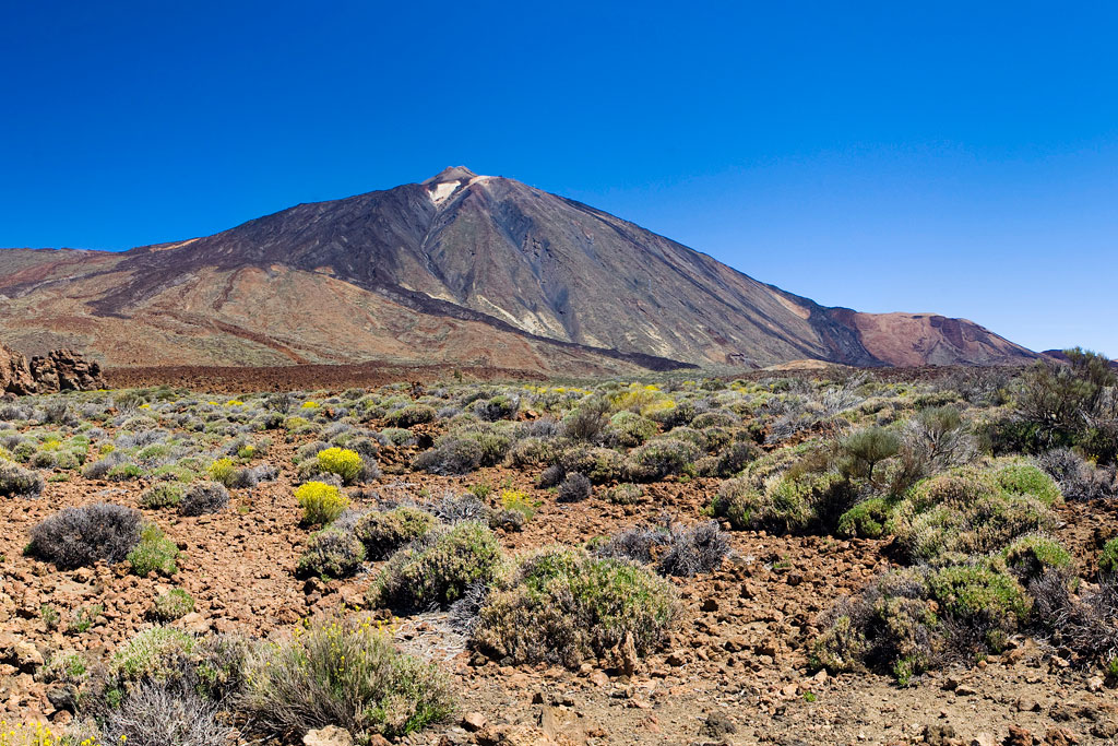 Paesaggio del Monte Teide a Tenerife con vegetazione e cieli limpidi.