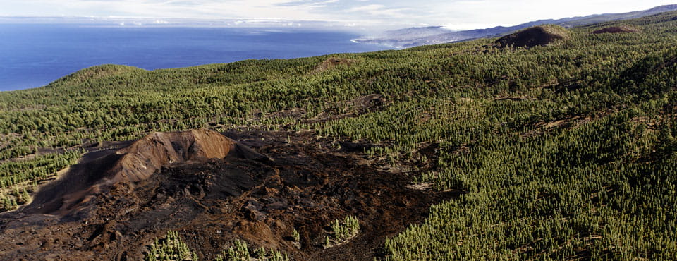 Erupciones históricas