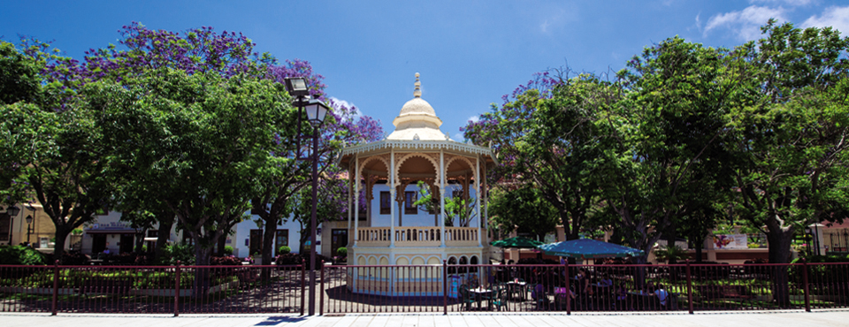 Chiosco centrale circondato dagli alberi a Santa Cruz de Tenerife.