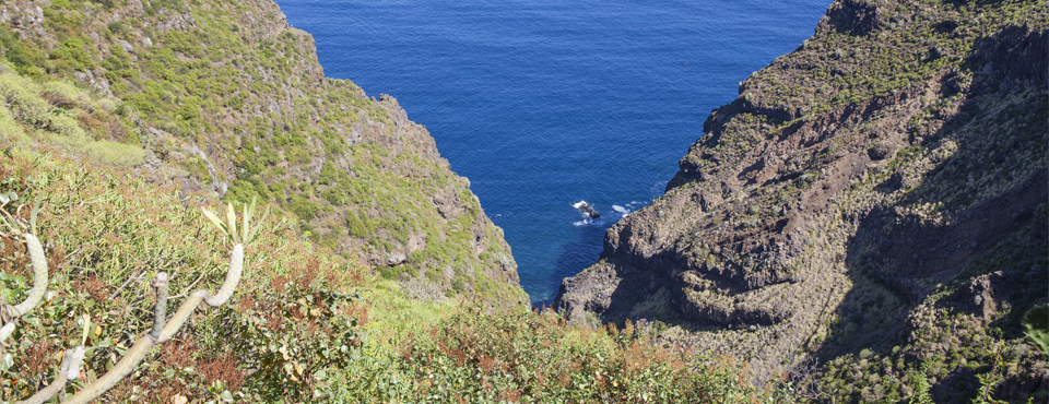Barranco de Acentejo