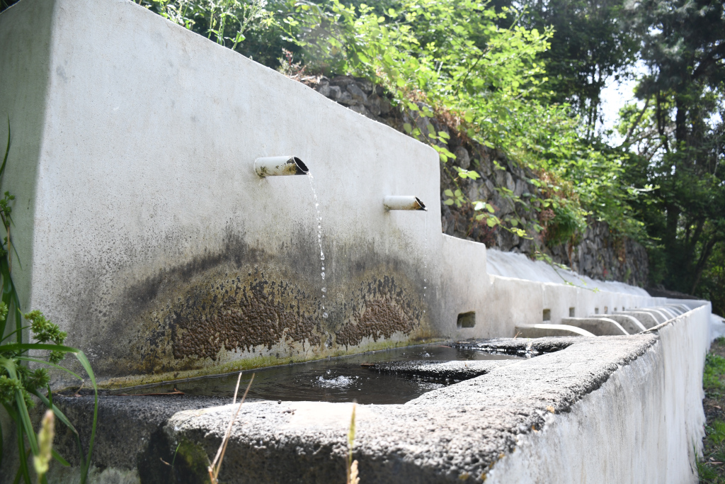 Fontana d'acqua in campagna a La Laguna, Tenerife, circondata dal verde.