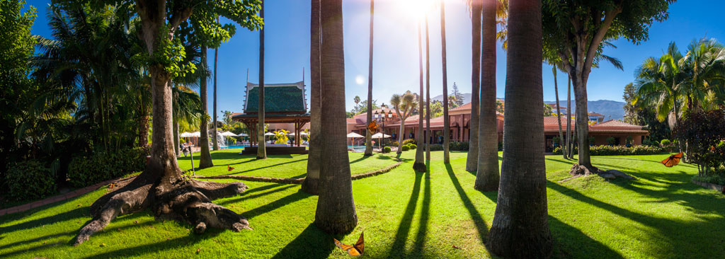 Giardino con palme e edificio in un parco a Tenerife sotto il sole.